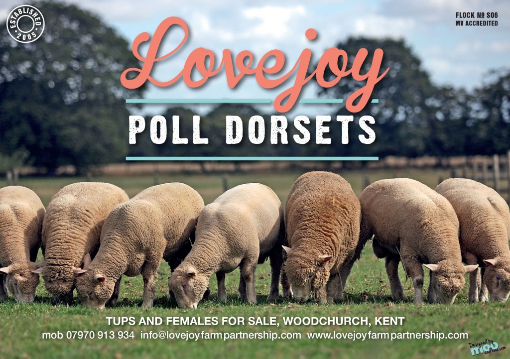 LOVEJOY ADVERT 31 01 14