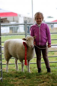 Read more about the article August 2014: Lovejoy Poll Dorsets do the double at Edebridge and Oxted Show